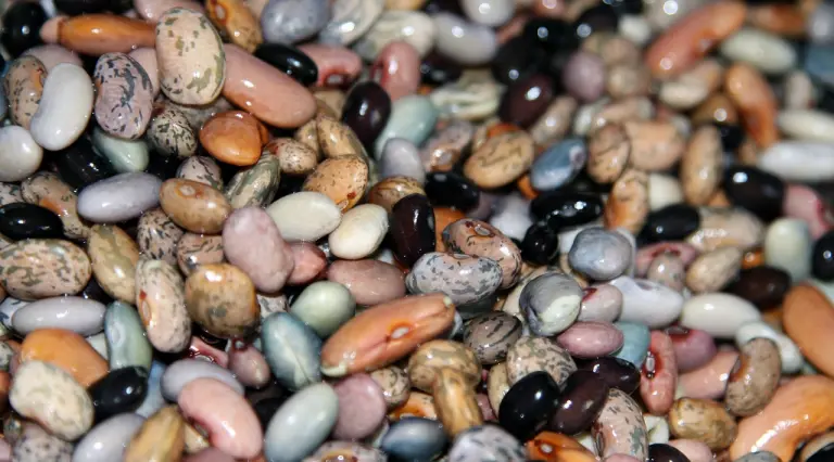 Breite Diversifikation als Lösung für SCAM? Kritische Antwort aufs letzte P2P Cafe! 5 regulatorisches Risiko P2P Steuern sparen regulierung regulierung beans 665055 1280