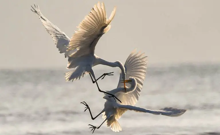 Buyback bei P2P Plattformen - Die Rückkaufgarantie Fluch oder Segen? 3 MacLear MacLear Rückkaufgarantie Rückkaufgarantie chris sabor qlaot0VrqTM unsplash