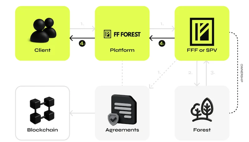 FF Forest: Erfahrungen und Anleitung - 18% Zinsen mit lettischem Wald und reichlich Cashback 3 FF Forest Erfahrungen FF Forest Erfahrungen FF Forest anlegen Screenshot 2025 12 06 at 20.39.01